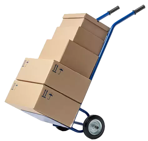 38220130_8429295-1-rtl